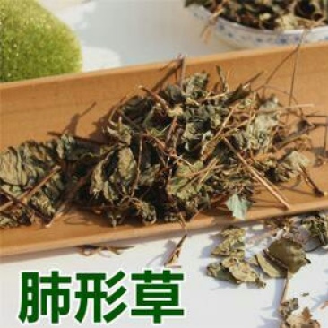 肺形草，蝴蝶草千余品种供应承接订单