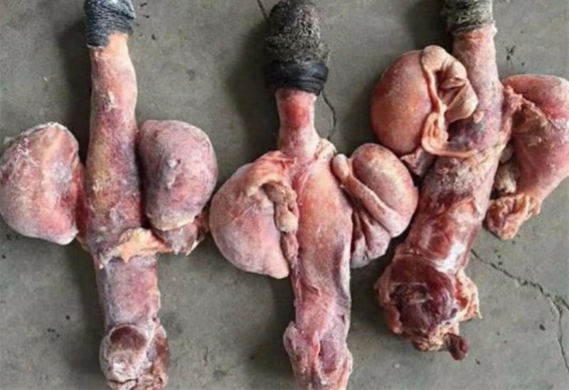 批发驴肉，批发驴产品，批发驴蹄筋，批发驴板肠，批发驴肚！