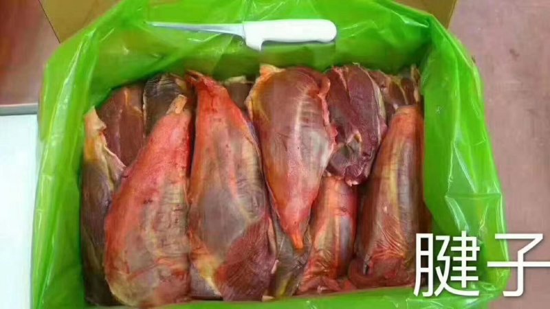 批发驴肉，批发驴产品，批发驴蹄筋，批发驴板肠，批发驴肚！