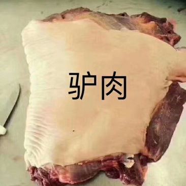 批发驴肉，批发驴产品，批发驴蹄筋，批发驴板肠，批发驴肚！