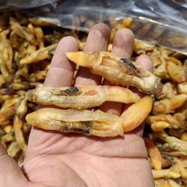 蛏子干，蛏子王肉