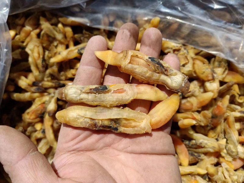 蛏子干，蛏子王肉
