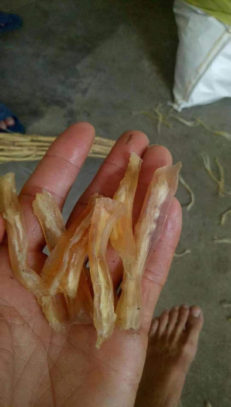 牛蹄筋干货