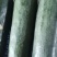 赣州中国供销市场代销全国各种蔬菜