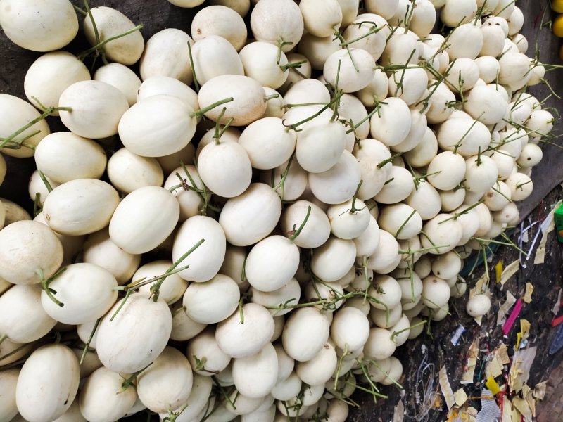 脆梨甜瓜，白金蜜，甜瓜香瓜哈密瓜基地！产地大量供应