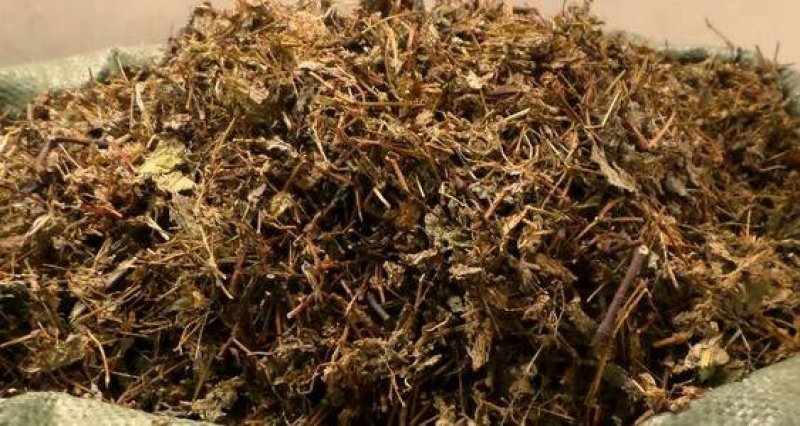 河白草杠板归千余品种供应承接订单
