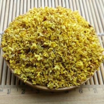桂花千余品种供应承接订单