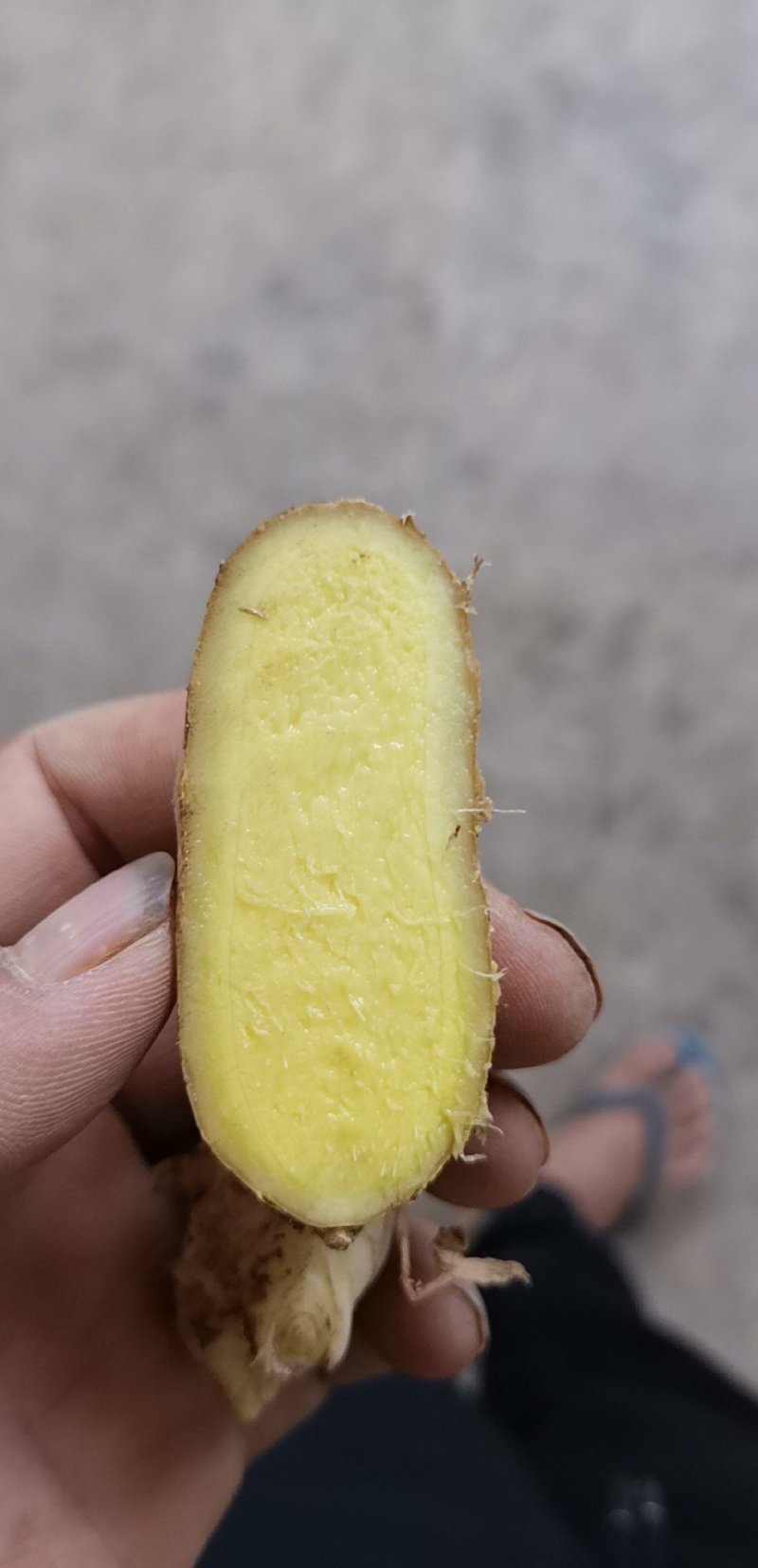 云南2黄姜云南小黄姜质量好保质保量货量大
