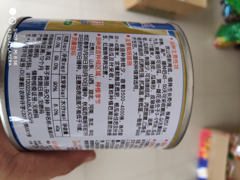 真绿202水果型黄瓜种子