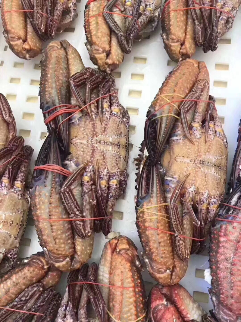 黑蟹巨能补钙规格1斤左右