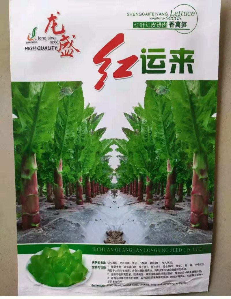 红运来香莴笋种子早熟耐寒皮薄紫红色