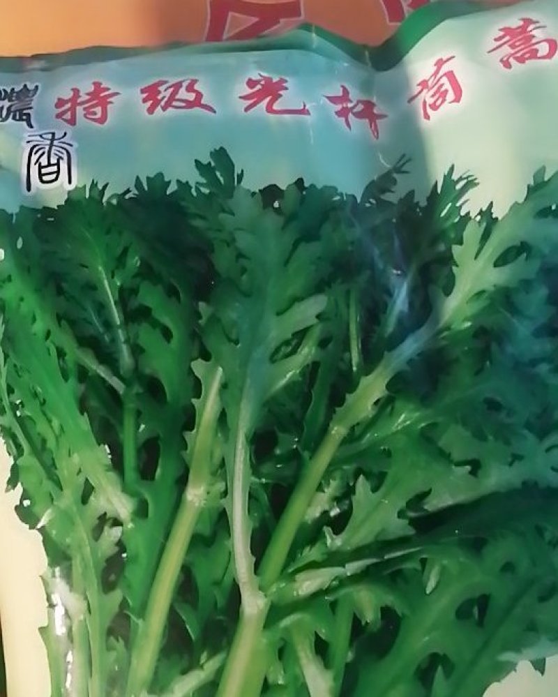 精品光杆茼蒿种子出芽率高根系发达长势快产量高绿杆清秀