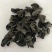 东北黑木耳，拿货16块钱一斤
