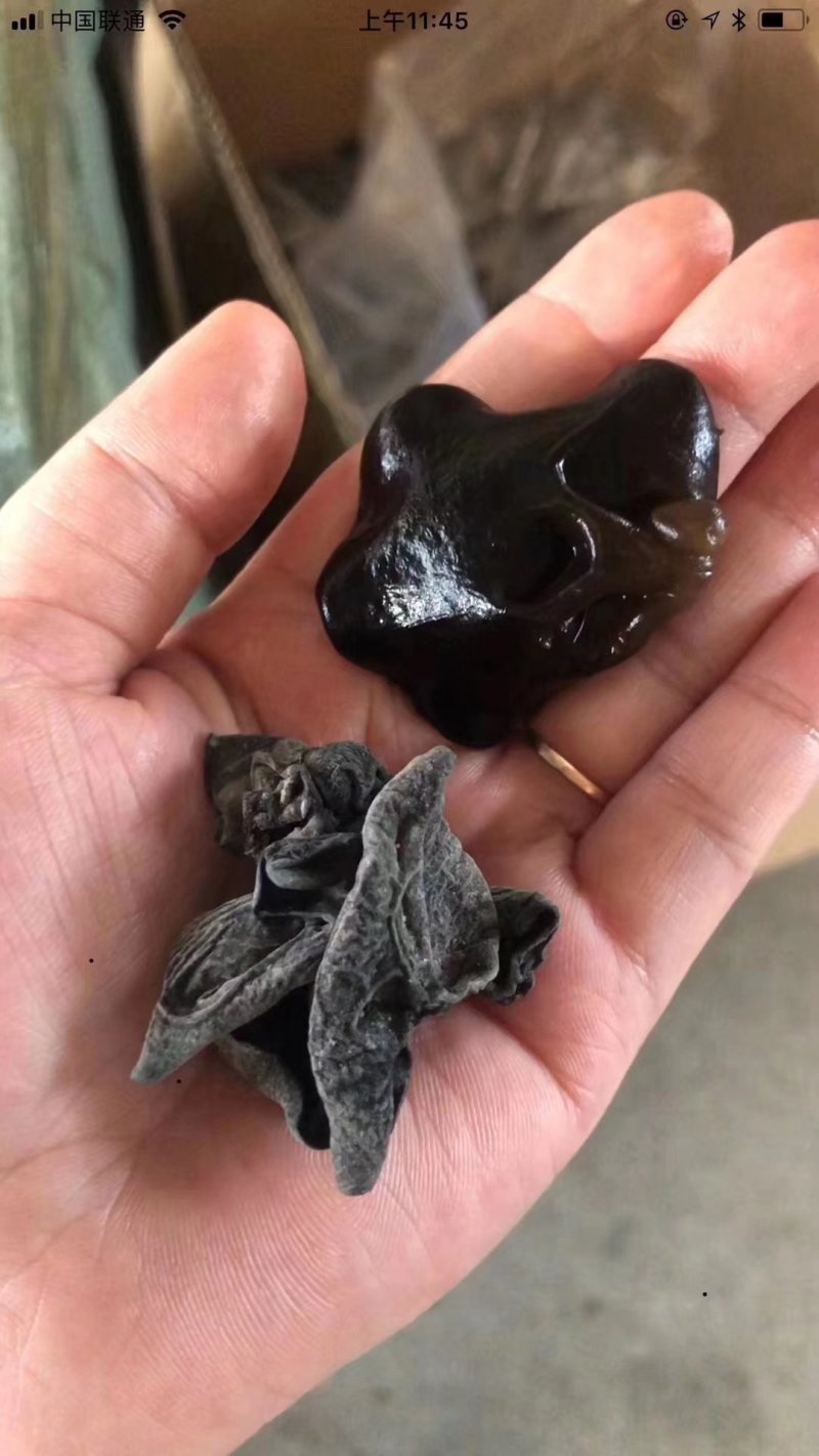 东北黑木耳，拿货16块钱一斤