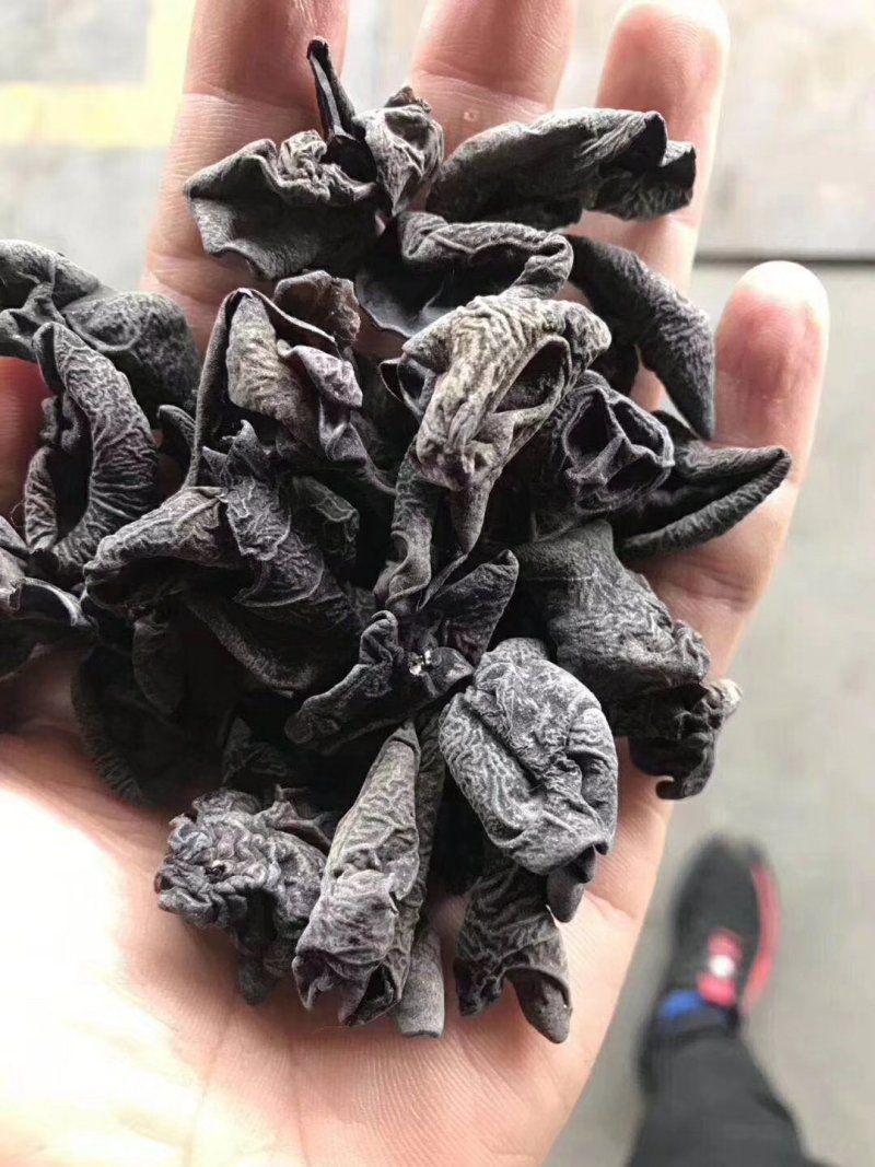 东北黑木耳，拿货16块钱一斤