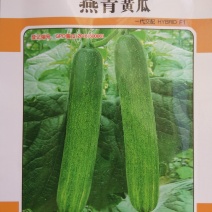 黄瓜种子山黄瓜种子（燕青）
