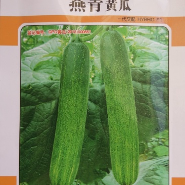 黄瓜种子山黄瓜种子（燕青）