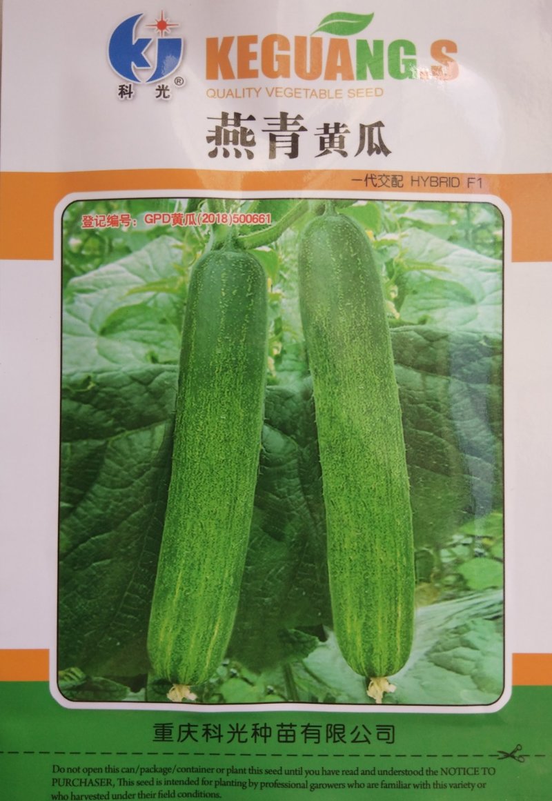 黄瓜种子山黄瓜种子（燕青）