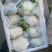山东聊城有机花菜大量上市中急需客户前来收购
