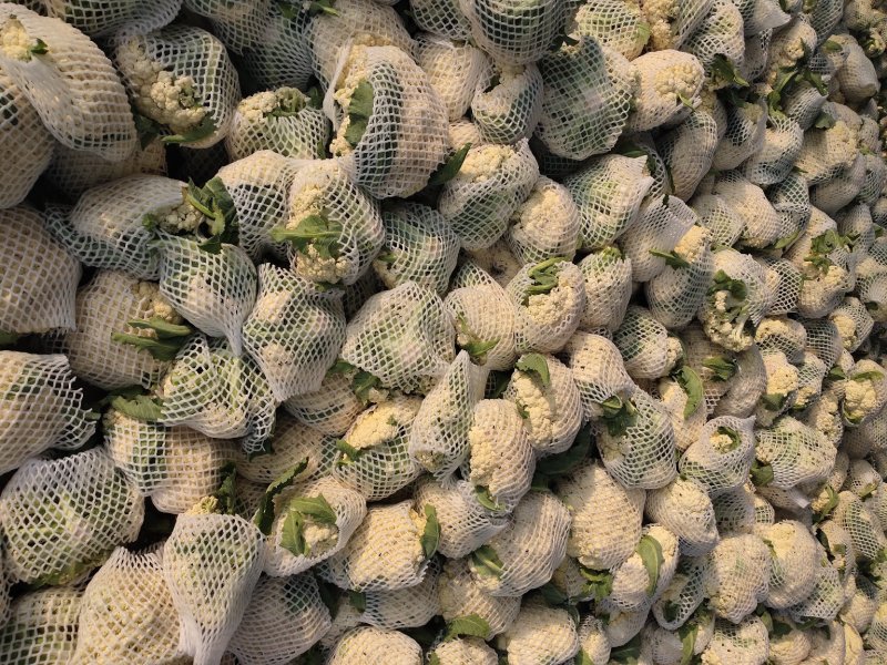 山东聊城有机花菜大量上市中急需客户前来收购