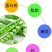 先锋美国甜脆碗豆种子荚豆两食品种大荚型甜碗豆