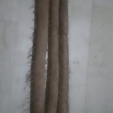 河北大名白玉山药即将大量上市
