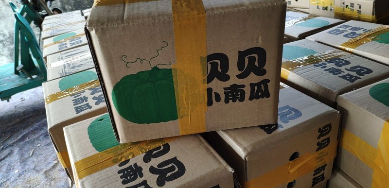 贝贝南瓜招合作主播带货平台社区团购微商团队电商店铺一件代