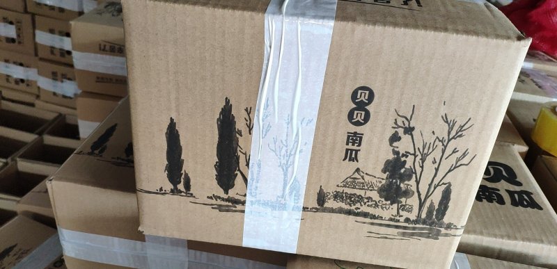 贝贝南瓜招合作主播带货平台社区团购微商团队电商店铺一件代