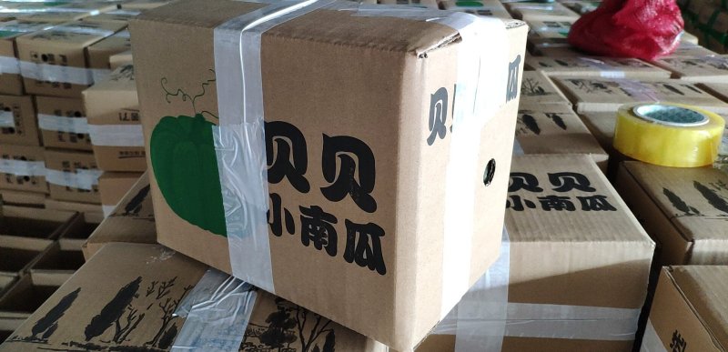 贝贝南瓜招合作主播带货平台社区团购微商团队电商店铺一件代