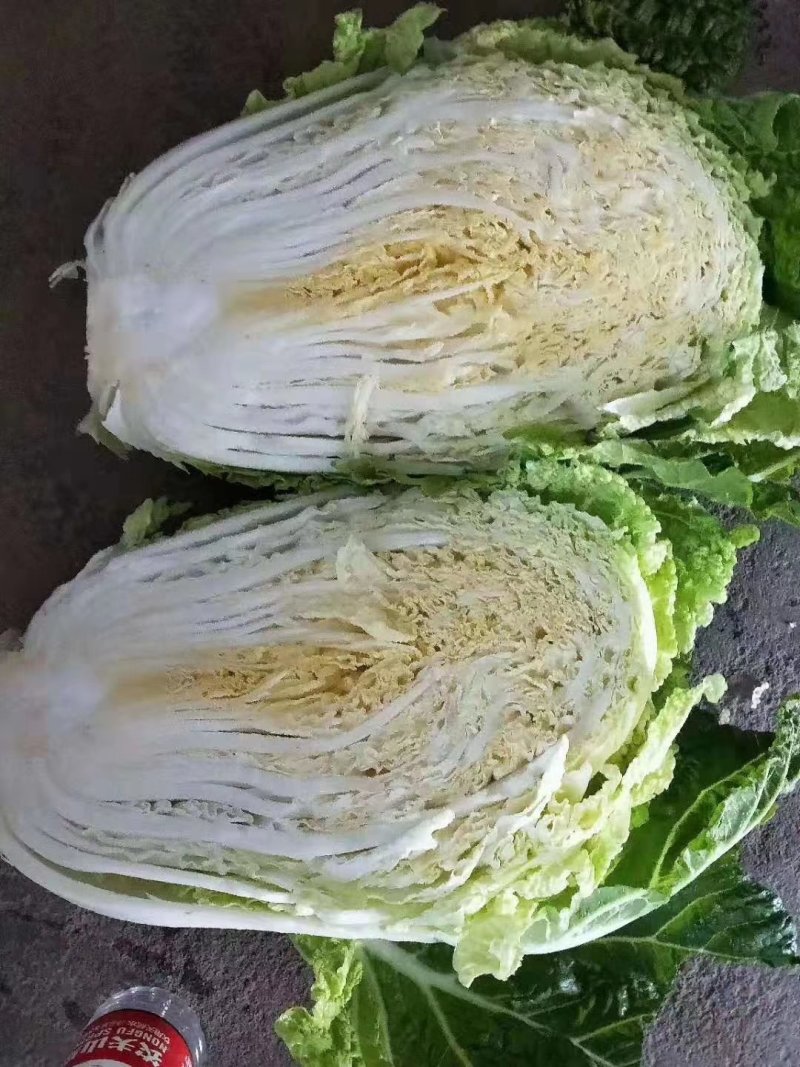 黄心白菜五斤以上