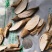 万丈深，道地药材，质优价实，品质保证，药典标准一公斤起批