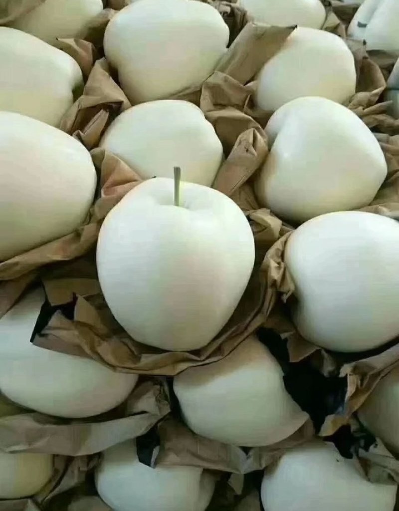黄元帅。。。。。。。。