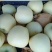 黄元帅。。。。。。。。