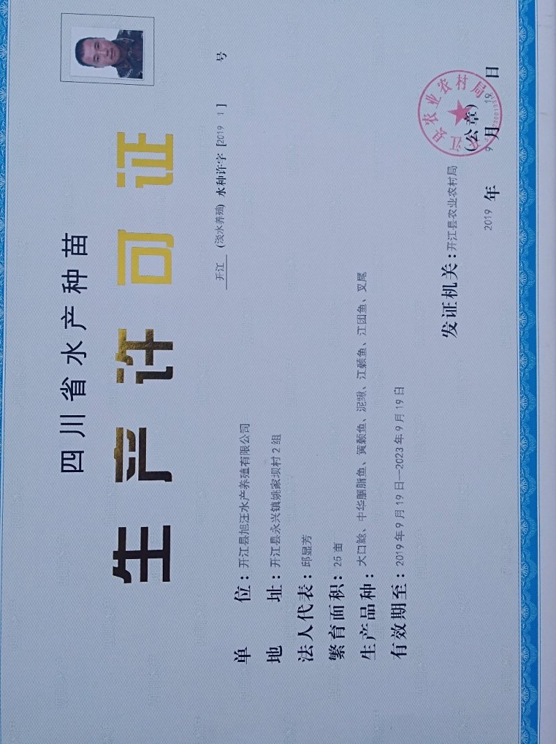 黄桑鱼
