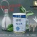新疆旺源驼奶粉（国家高端驼奶领军企业出品）