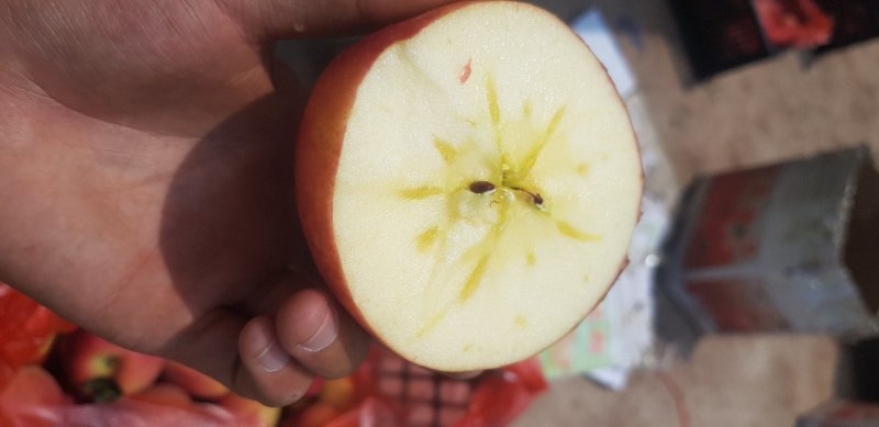 糖心苹果