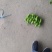 薄皮辣椒