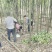 香樟树基地直销直径3/4/5/6/8公分价格优惠