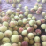 青州蜜桃离核