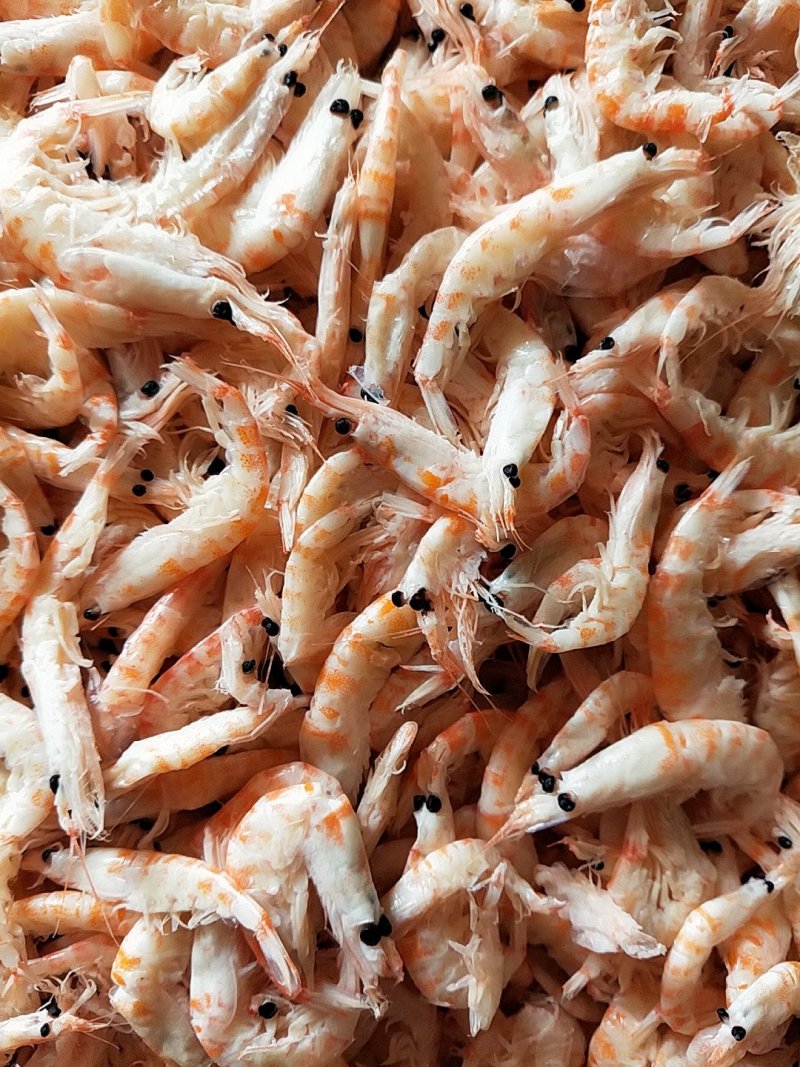磷虾干