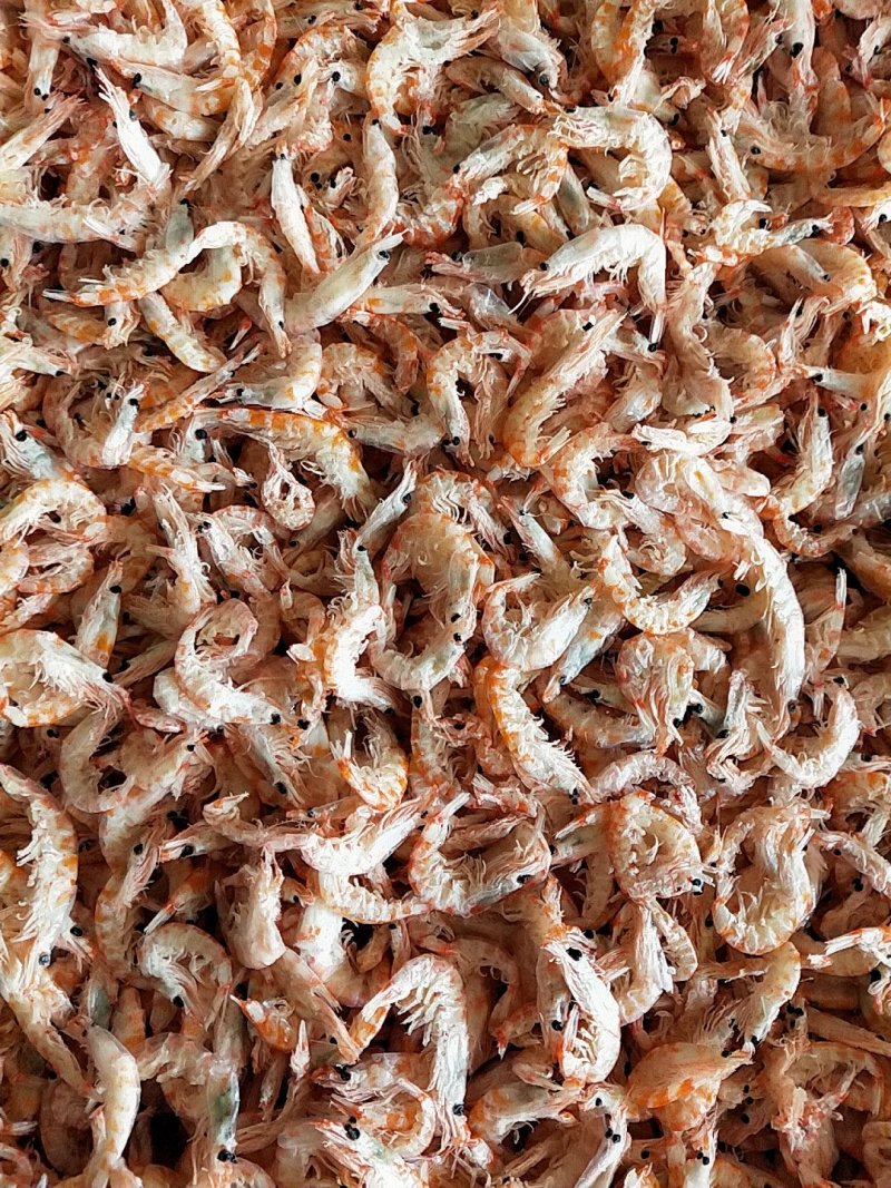 磷虾干