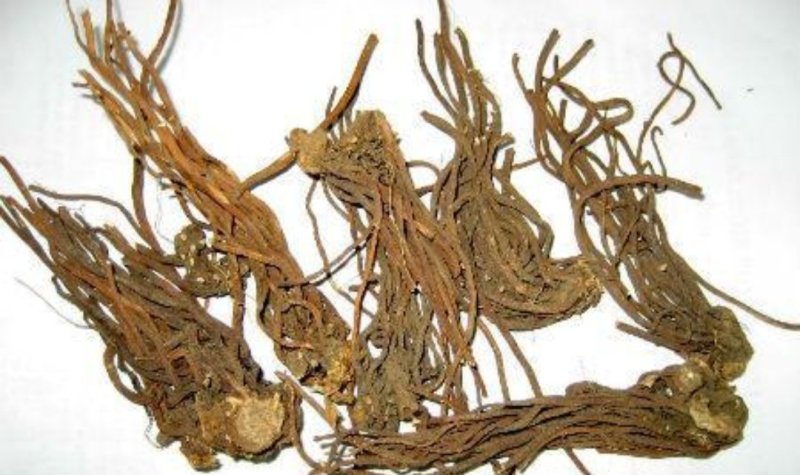 桃儿七，道地药材，质优价实，品质保证，药典标准一公斤起批