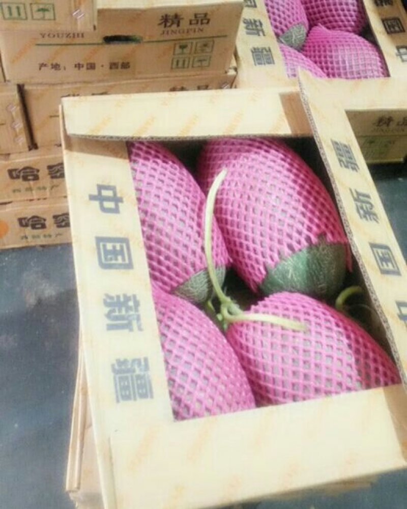 四季水果