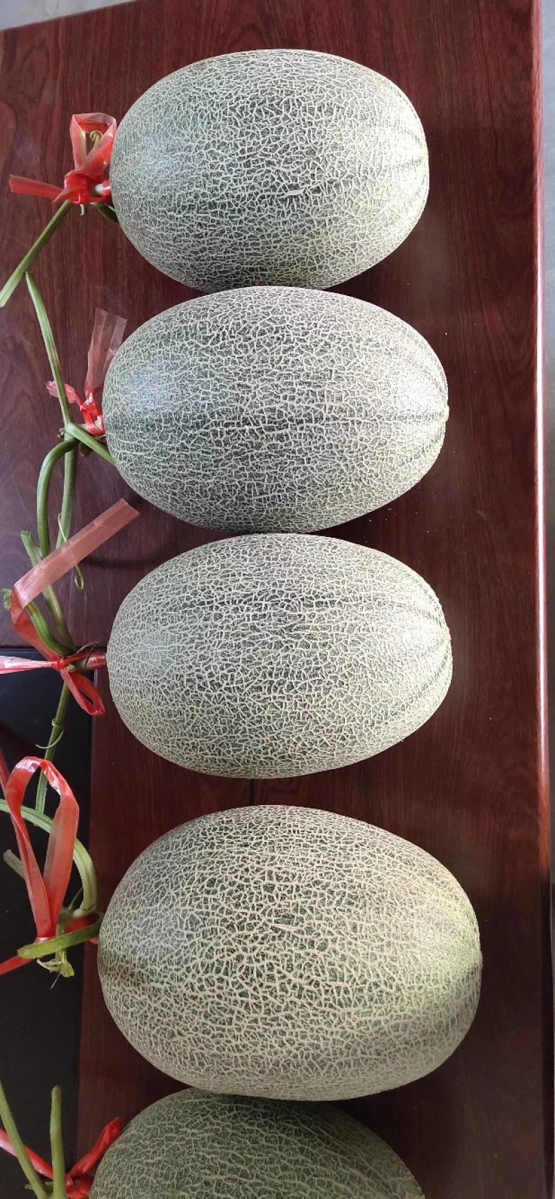 哈密瓜