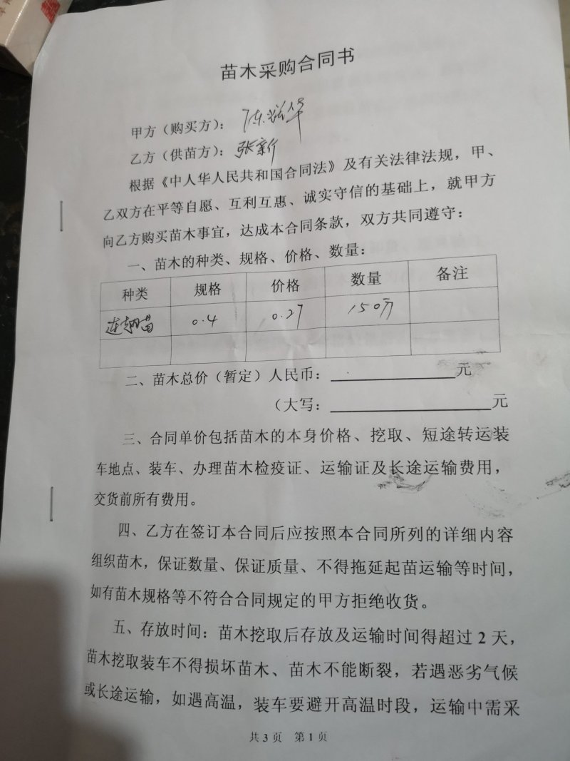 连翘苗，当年升至五年生