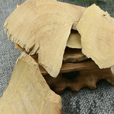 算盘子根,道地药材,质优价实,品质保证,药典标准一公斤起