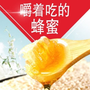 【有好货】蜂巢蜜封盖成熟新鲜蜂巢蜜口味纯正支持批发零售