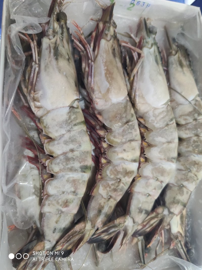 生冻黑虎虾