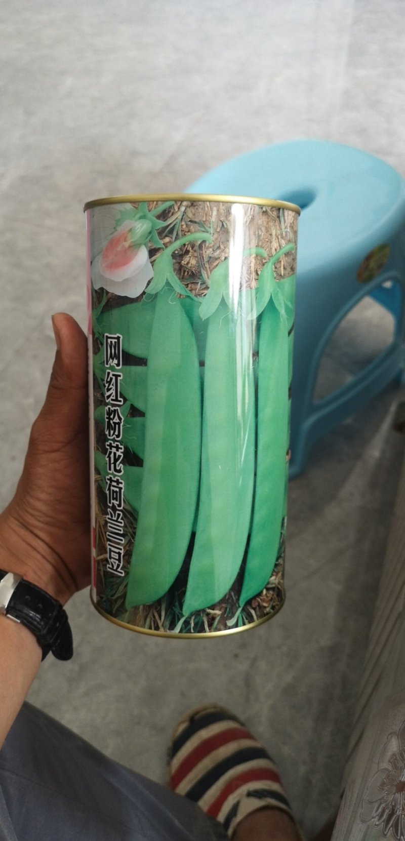 荷兰豆种子粉花小荚豆荚豆种子小荚豆种子粉花豆