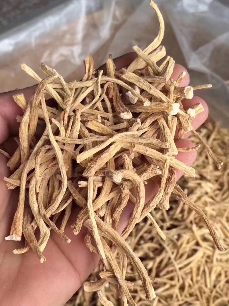 干货